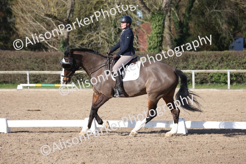 20260214-0500 - Class 5 - Novice 3