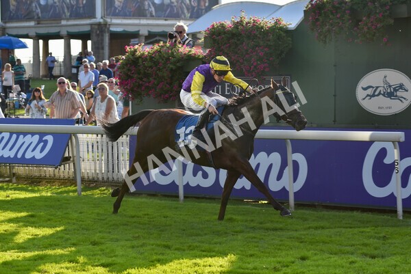 yr08102021r5-21 - Race 5 4.20pm Copper Knight - Winning Most Horse At York Handicap