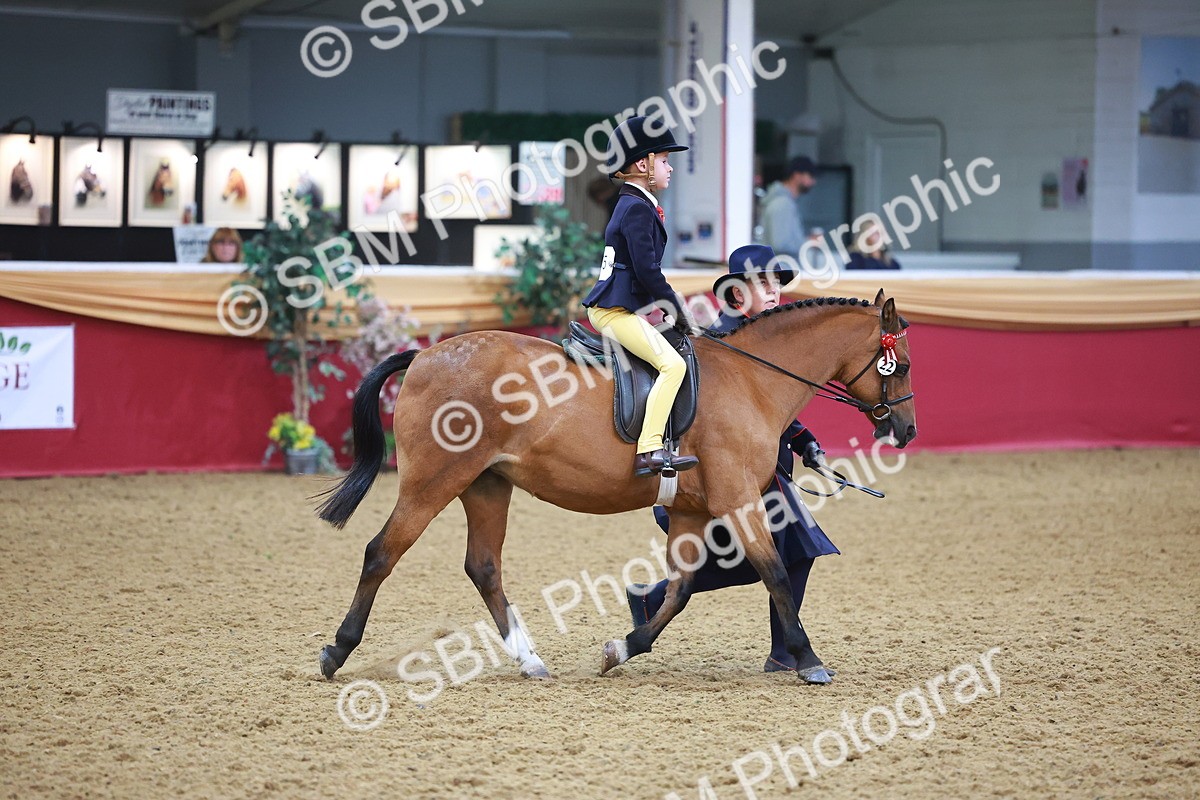 SBM_09685 - Class 102 - HOYS Veteran Qualifier - Ridden Veteran