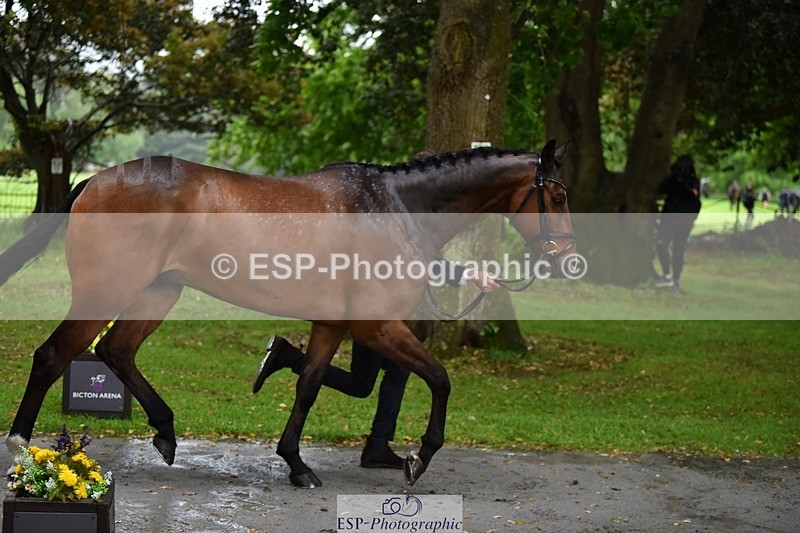 240522-151914-00259 - 320-CARPO_VIVENDI-Jack_Pinkney