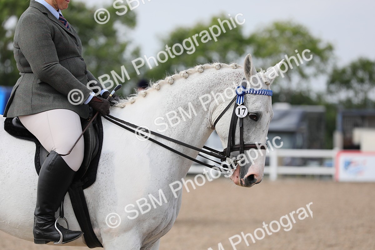 SBM_13377 - Class 308 Ridden Coloured Horse