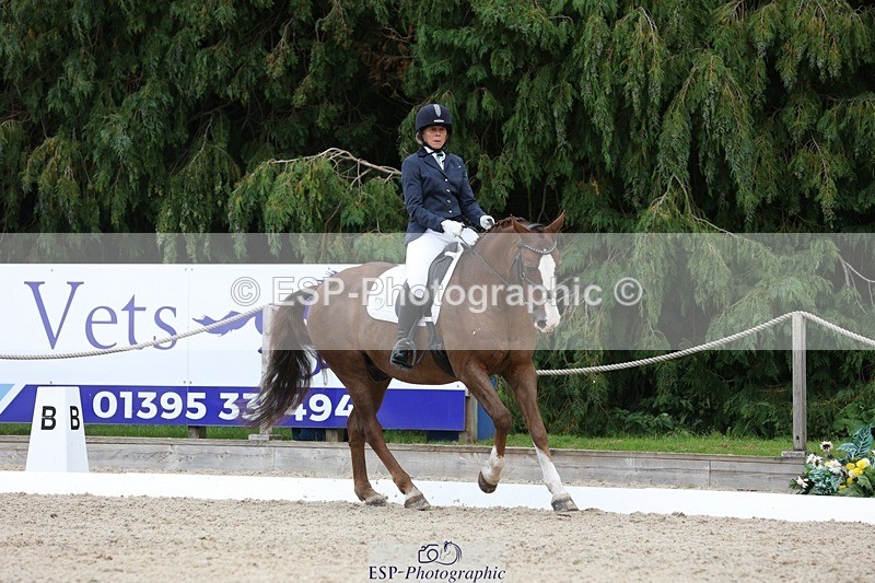 230812-134936-04321 - Cls 5 Novice Bronze 13.40 to 14.45 break