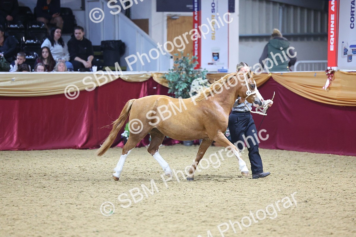 SBM_18936 - Class F Grass Roots Champ