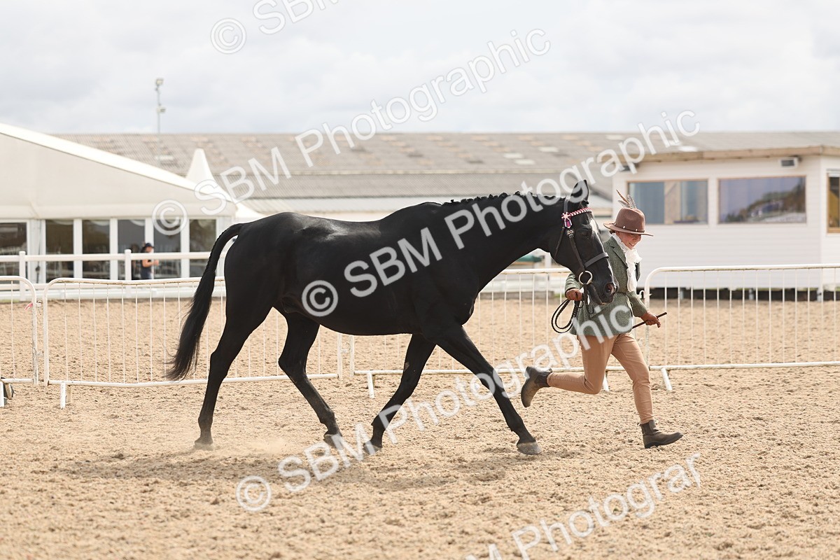 SBM_04937 - Class 20 - IH Veteran