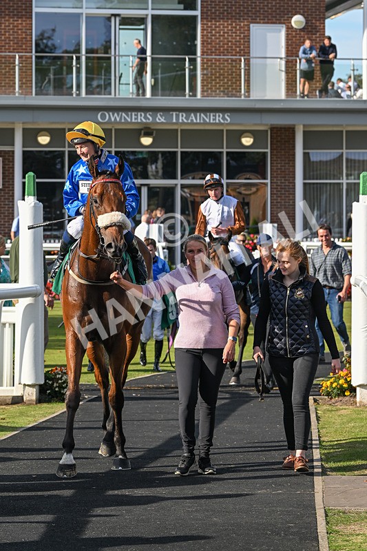 160924-Race 5-King Of The Jungle-3002 - Race 5