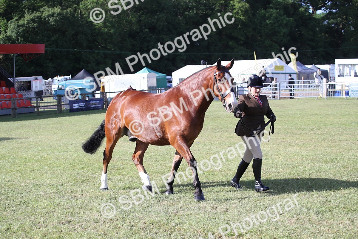 SBM_11113 - Class 92-93 - LIHS BSHA Rising Star Cobs