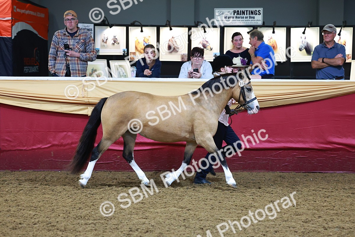 SBM_14734 - Class C - Novelty champ