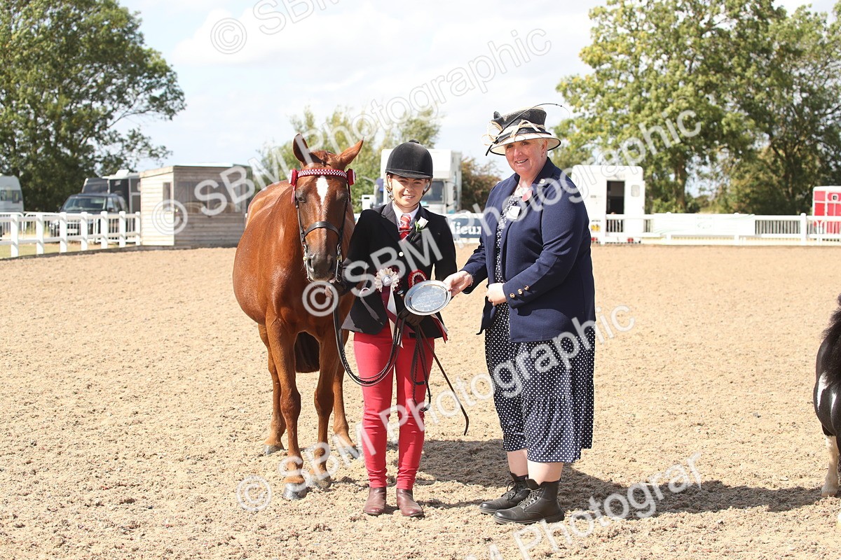 SBM_23153 - Class 606 - 2026 - Area - IH Pre Vet