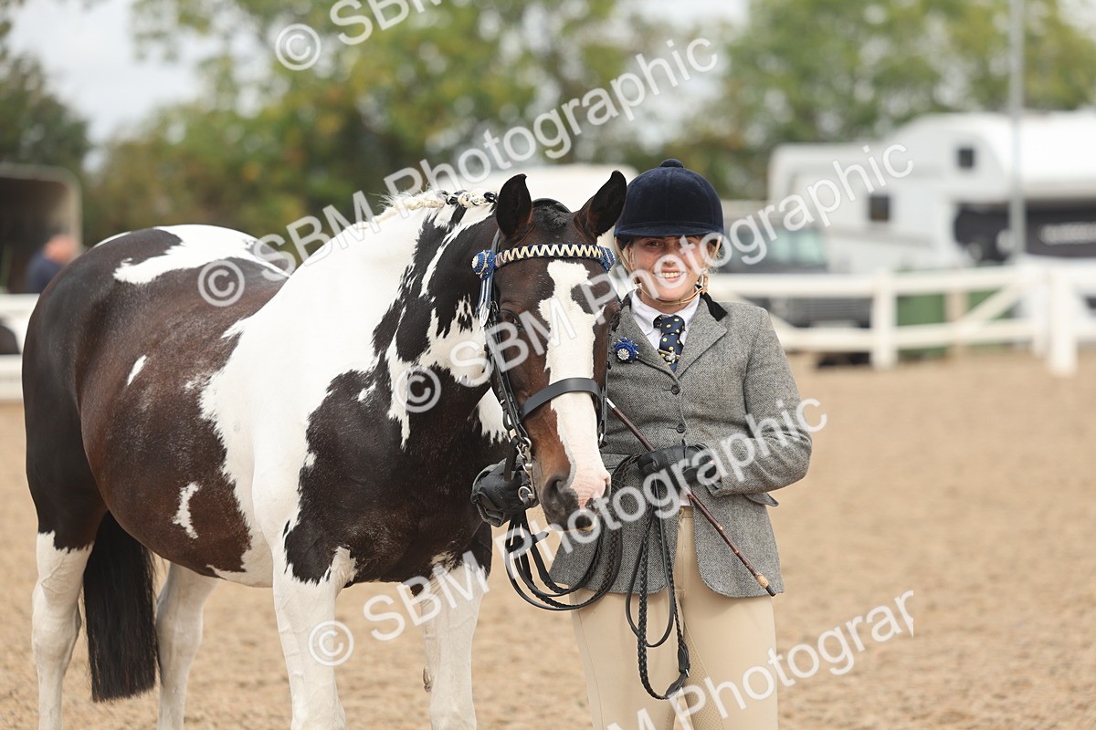 SBM_02114 - Class 15 - IH Coloured