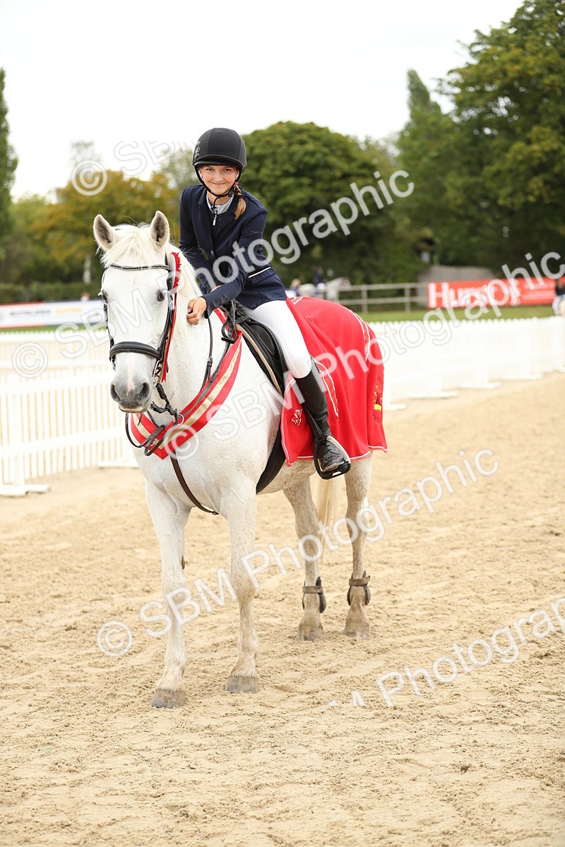 SBM_63161 - Supreme championship 75cm 80cm