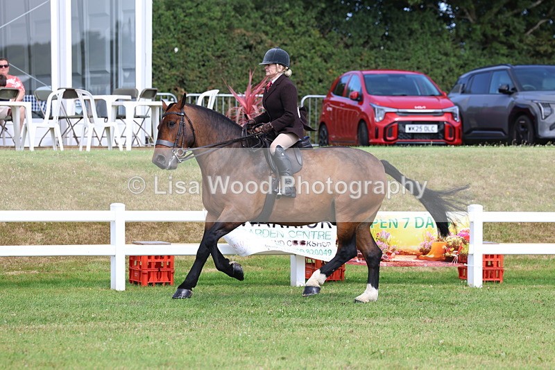 3E7A9871 - Class 5: Rising Star Lightweight/Heavyweight Cobs