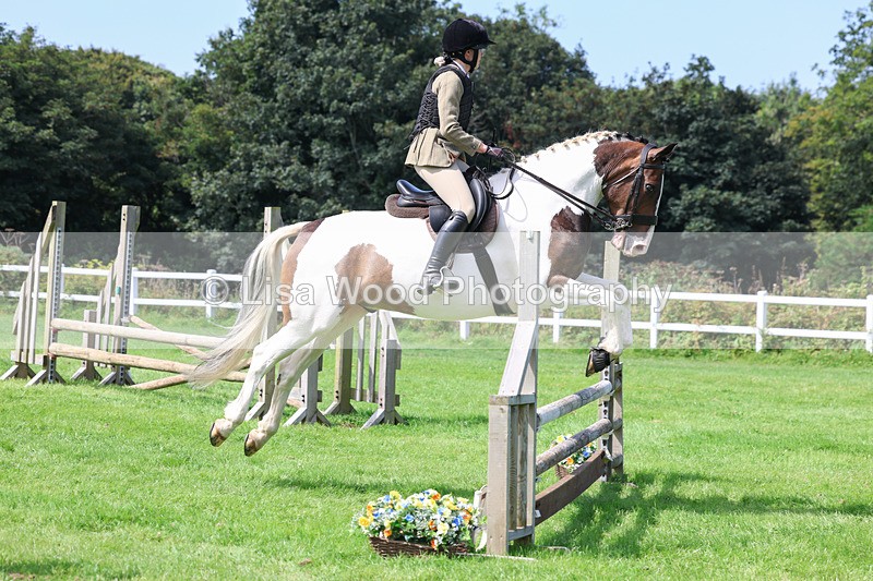 3E7A8606 - Class 5: Working Show Horse