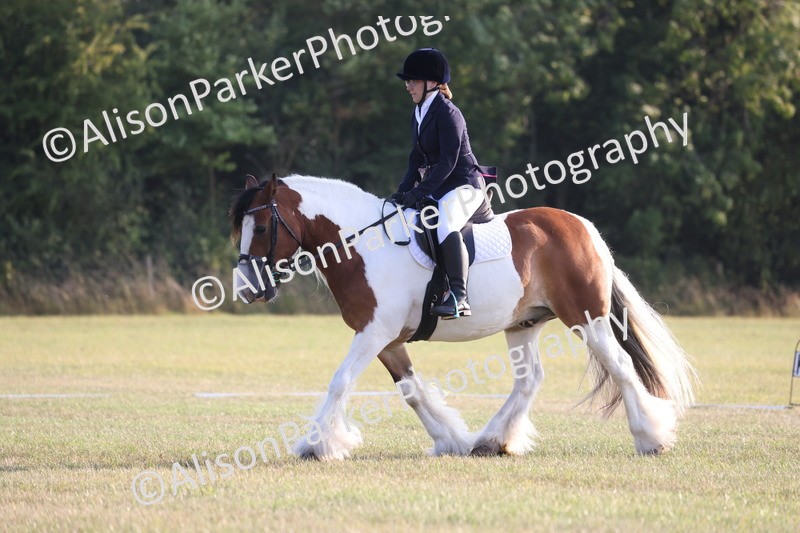 20250731-0800 - Class 1 - Intro 4