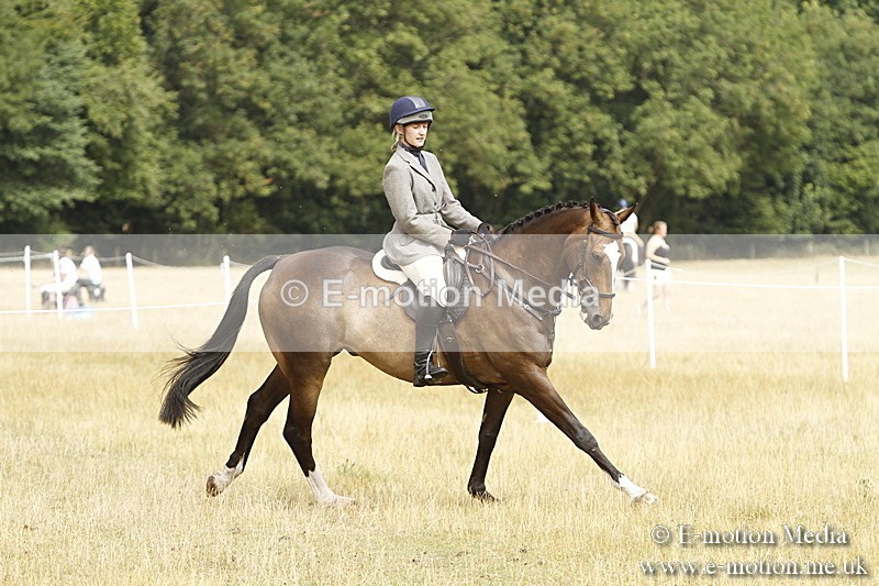 _BS_0685 - BVRC Show 2018 Ring 3