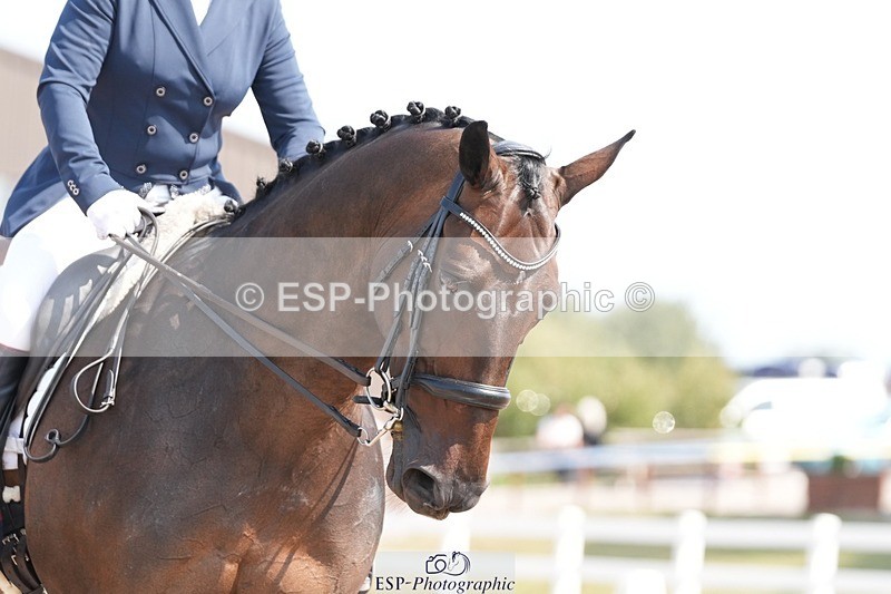 250817-114850-08901 - 140-Jane.GregoryRUTHIES.DREAM