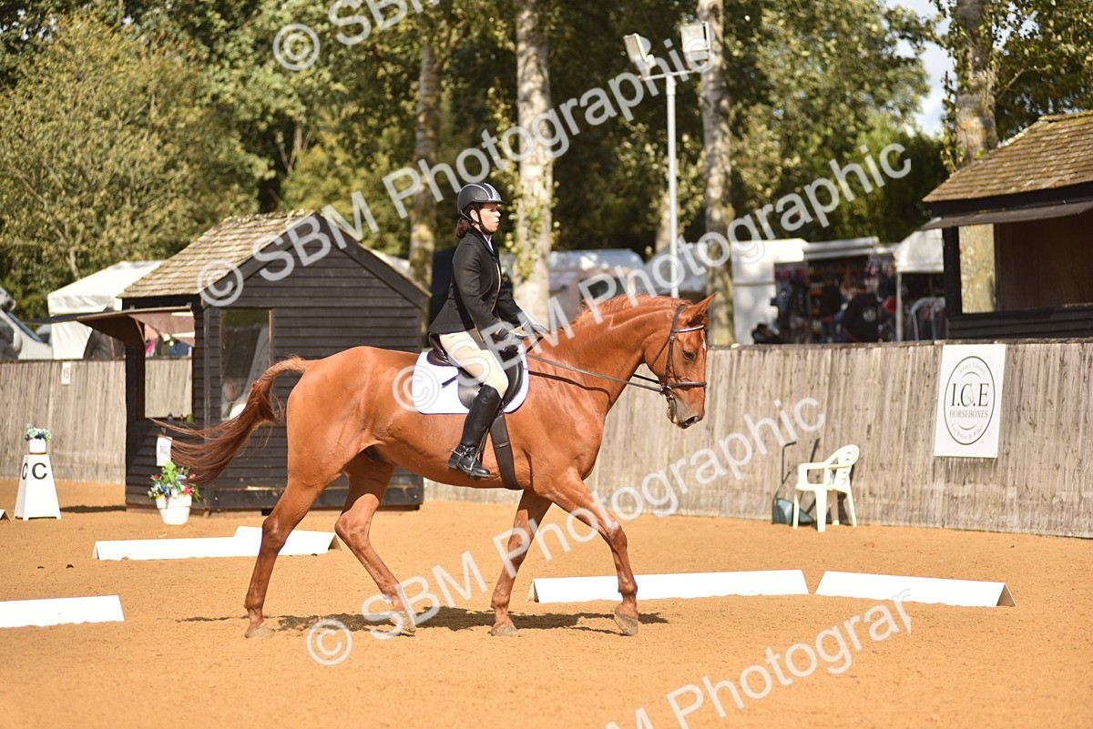 SBM_24231 - D4 - Small Tour Championship Intro 4