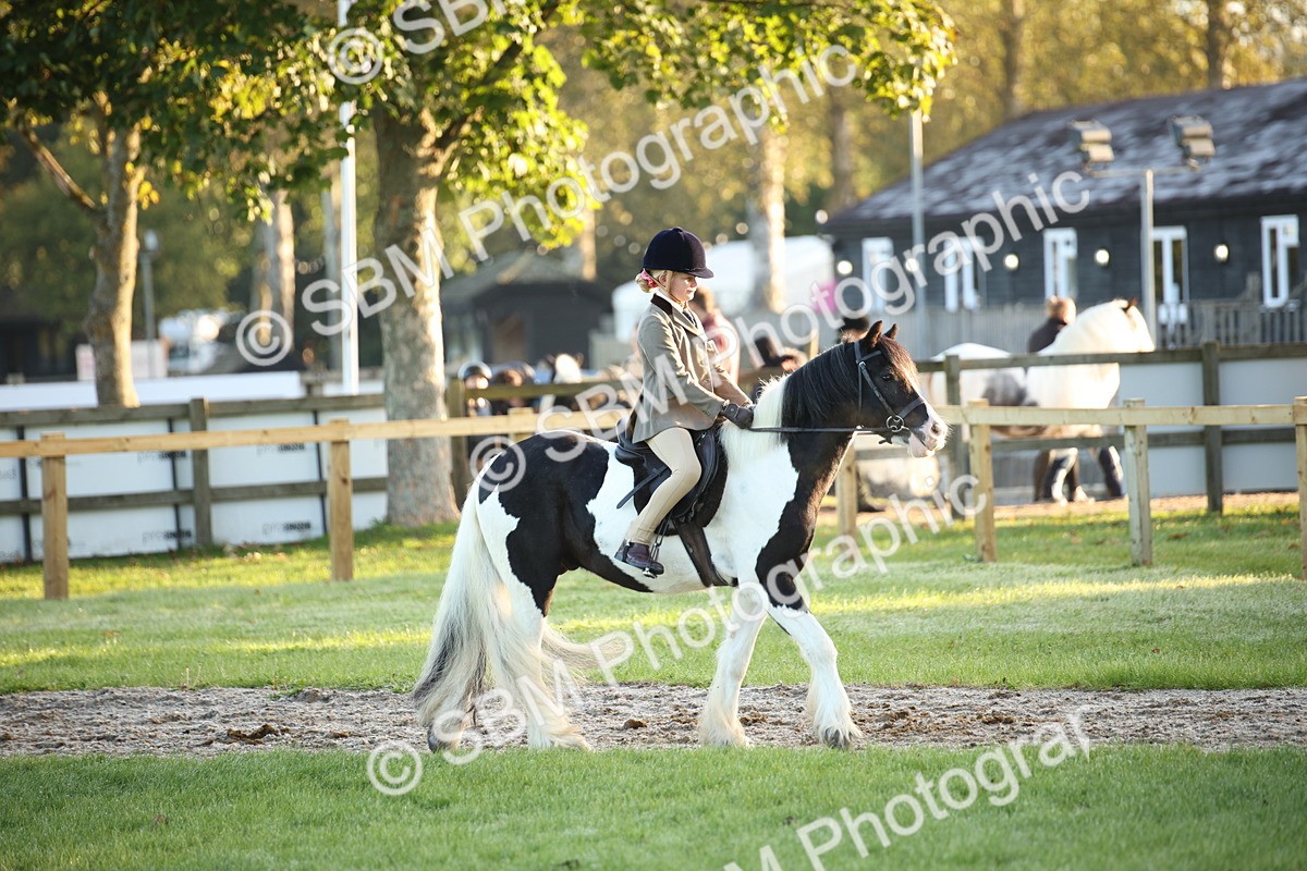 SBM_32247 - S8 - Best Turned Out