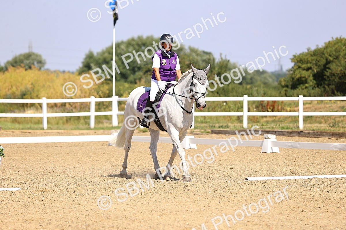 SBM_003561 - Intro 2