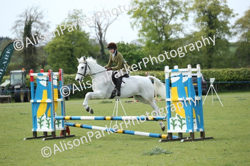 20260426-2087 - Class 15 - Absolute Novice 70cm