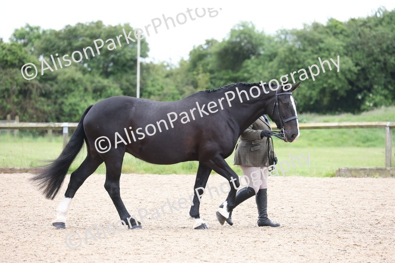 20250524-0962 - Class 9 - Cob and Hunter