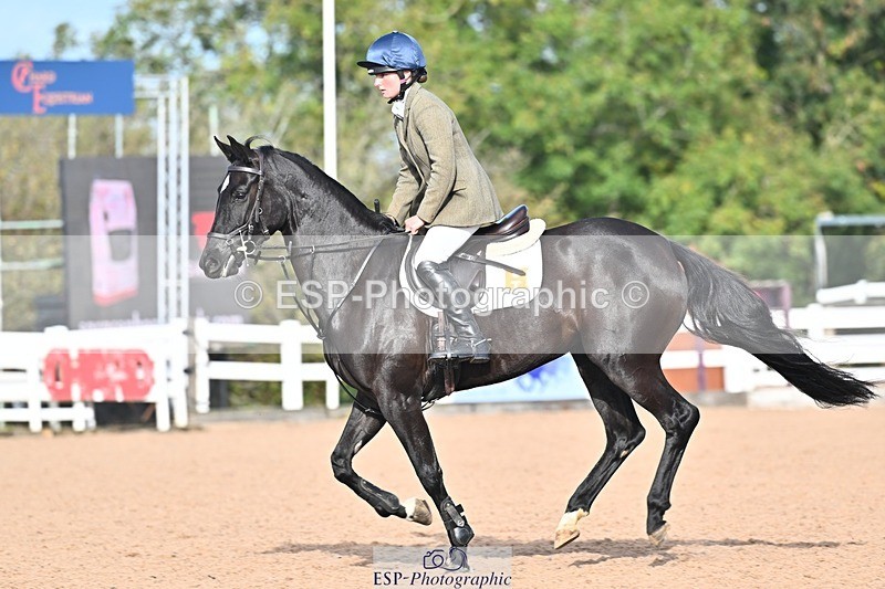 261014-104722-00079 - Clear Round & Cls 02 Brit Nov & 90cm Open