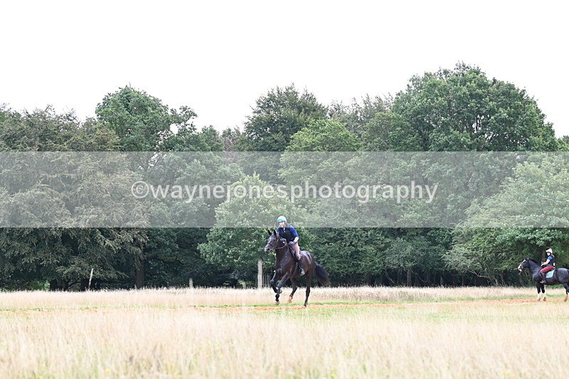 DSC_6488 - Time at Statue 12:17 to 12:44