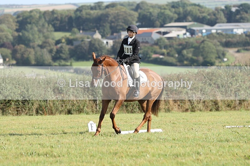 JPP_8031 - Class 2A: Trekenning Open: Dressage
