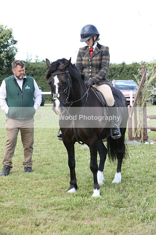 JPP_2345 - Class 19: Working Hunter 60cm