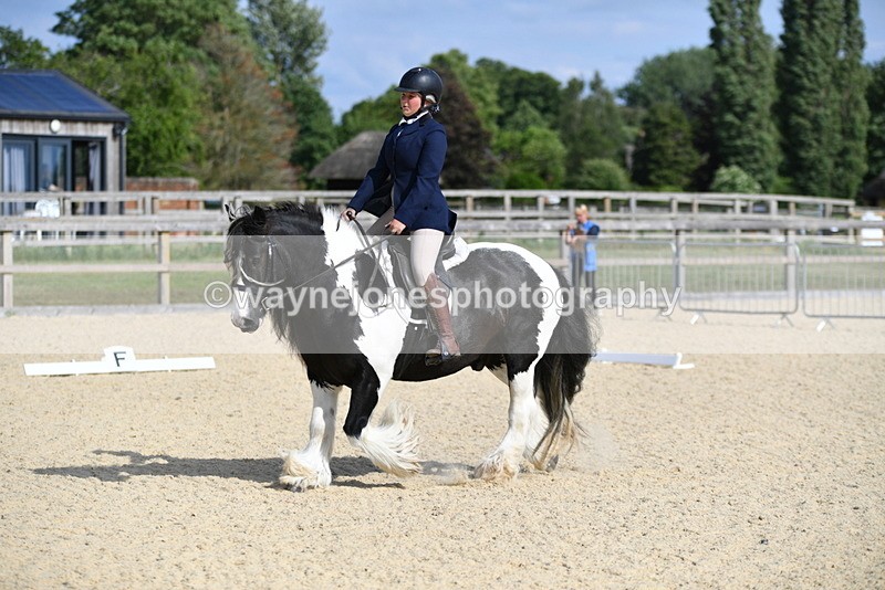 WJ5_7704 - Time 16:40 to 16:55