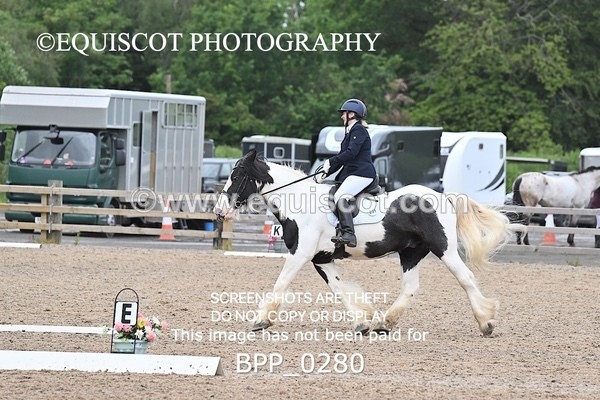 BPP_0280 - 31 E WYLLIE