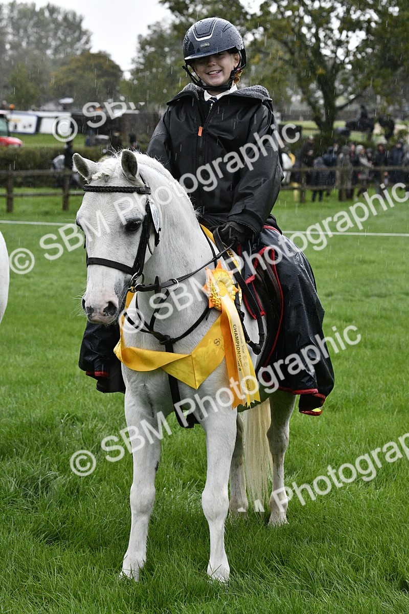 SBM_35577 - S30 - Nursery Stakes Working Hunter Pony