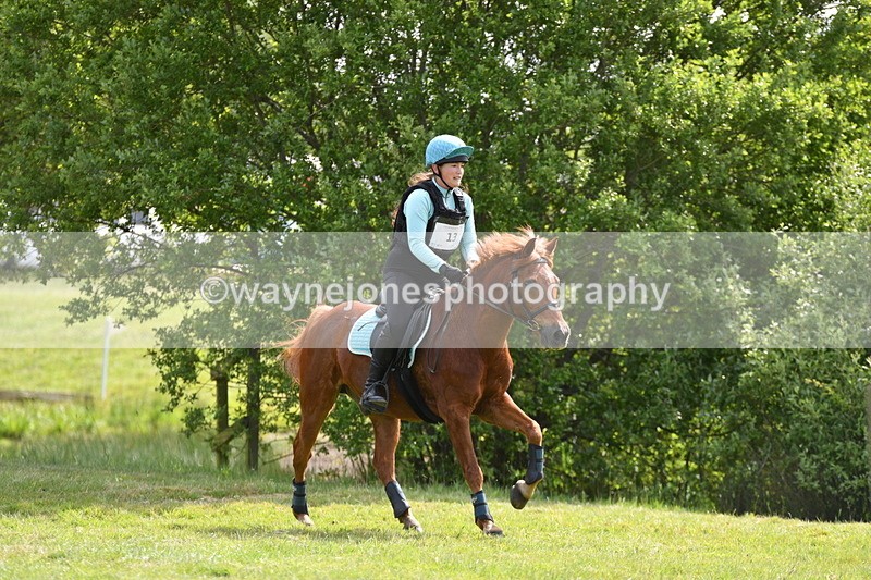 WJ5_2619 - Class 2 40cm