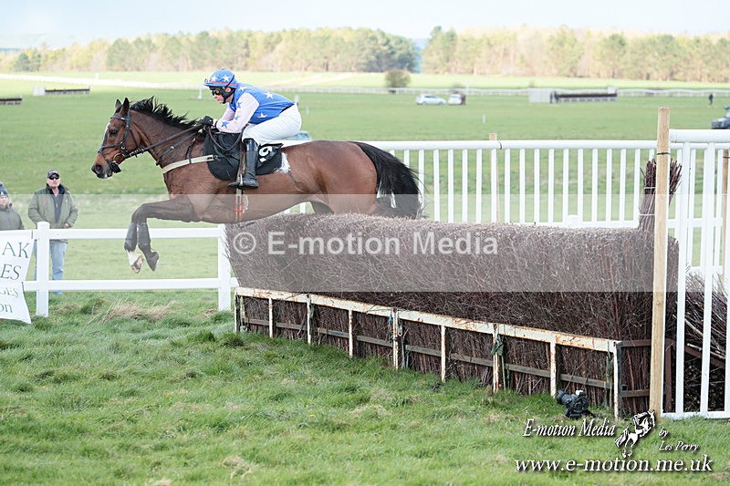 PtP 230324 678 - Tedworth Hunt PtP Larkhill Raccourse 23rd March 2024