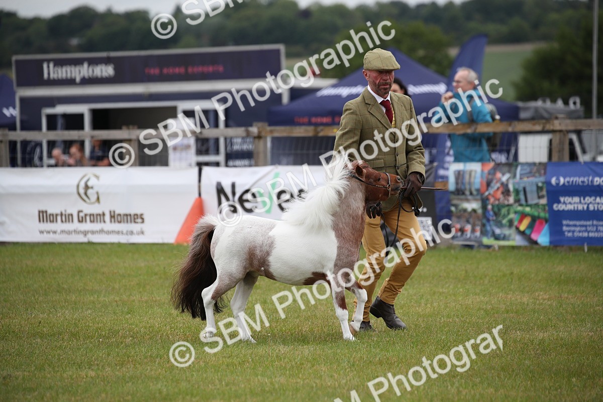 SBM_03706 - Class 23-25 - British Miniature Horse of the Year