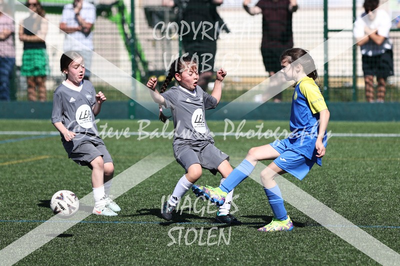 1DX33699 - Sat 13th U7 & U8 Girls