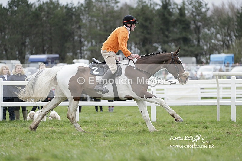 PtP 260323 0262 - New Forest Hounds Point-to-Point Larkhill 26/03/23