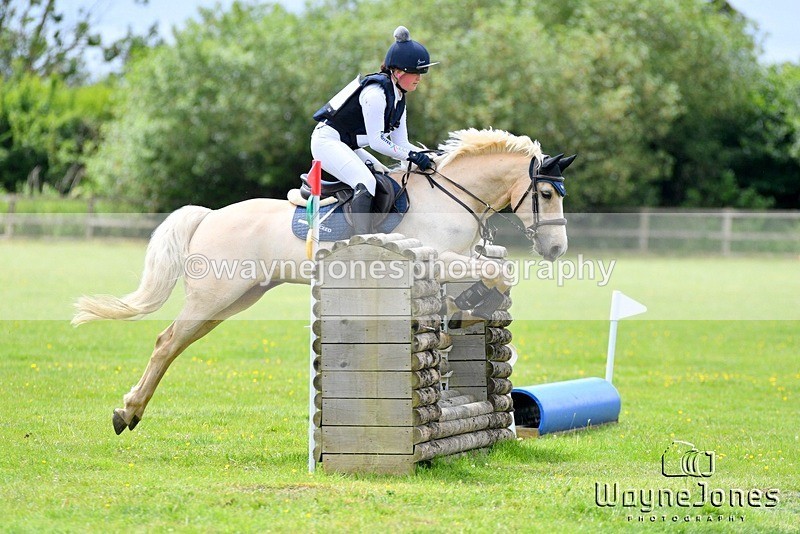 WJ5_4004 - Edited examples