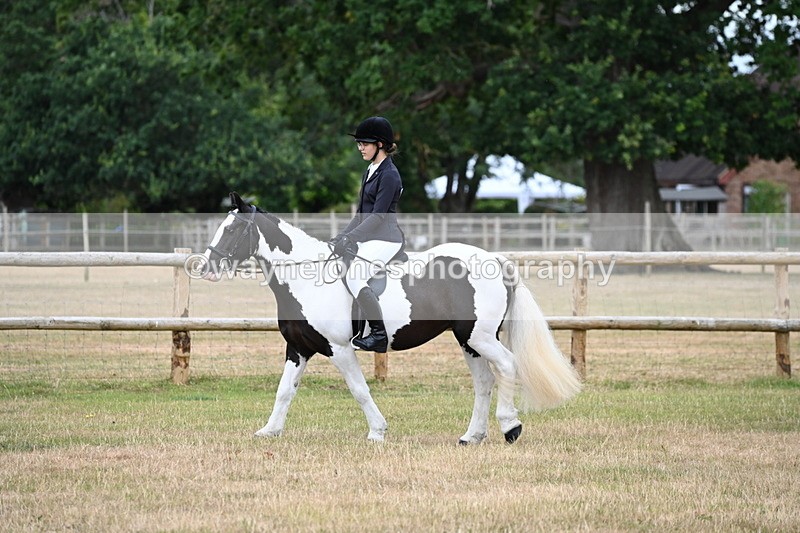 WJ6_3791 - Class 9 Tack & Turnout