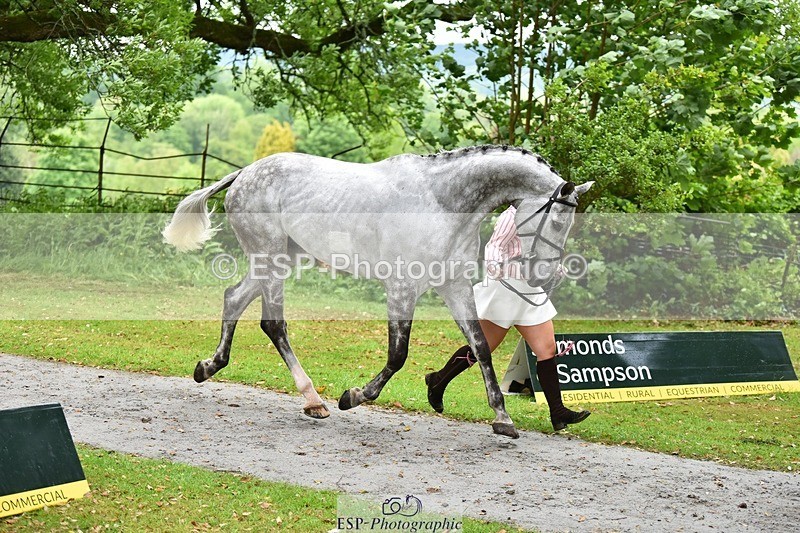 240522-155342-00565 - 110-CHATOON_S-Katie_Wrennall
