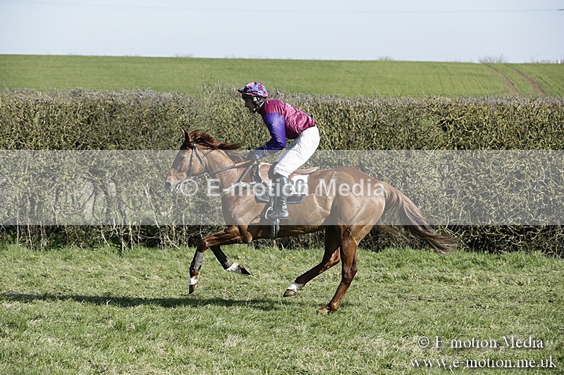 PtP 250317 177 - V.W.H. Hunt Point-to-Point Siddington 25/03/17