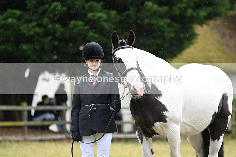 WJ6_8863 - Class 10 Coloured in-hand