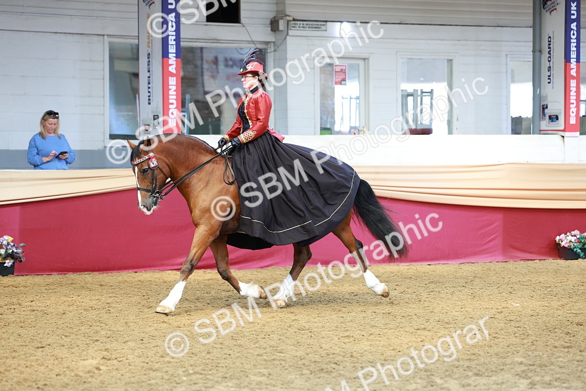 SBM_14805 - Class 107 - Ridden Costume - Astride Adult  (20+)