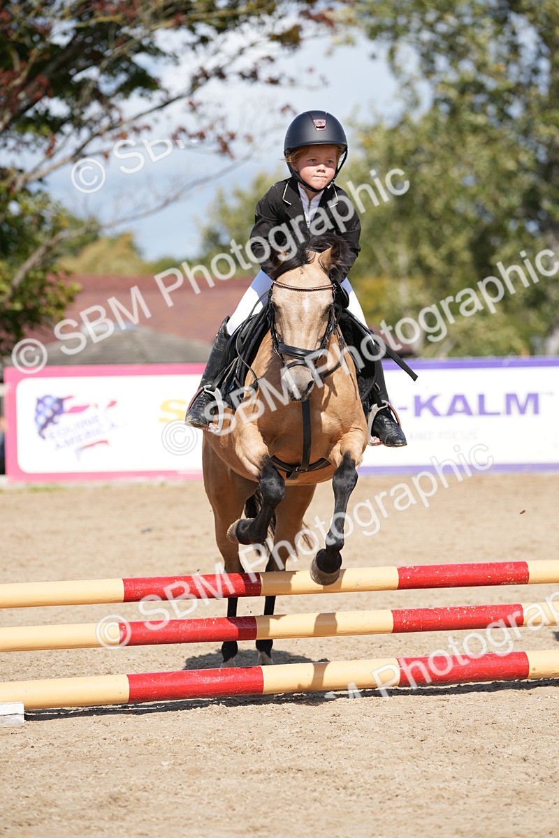SBM_18209 - J58 - Clear Round 50cm