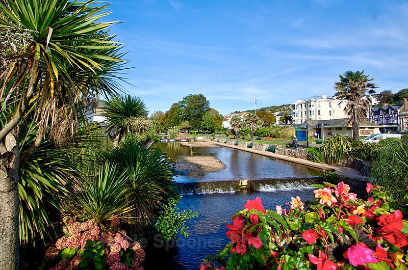 DW46 - Dawlish Brook in Summer - Greetings Cards Dawlish