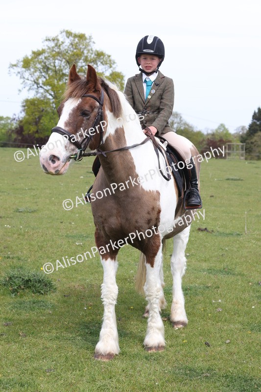 20260426-4393 - Class 34 - Best Riding Horse Over 14.2hh