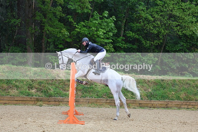 3E7A7315 - Class 8: Senior Foxhunter/1.20 open