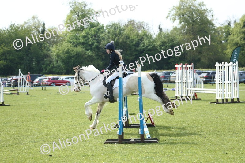 20260426-1647 - Class 14 - Novice 60cm