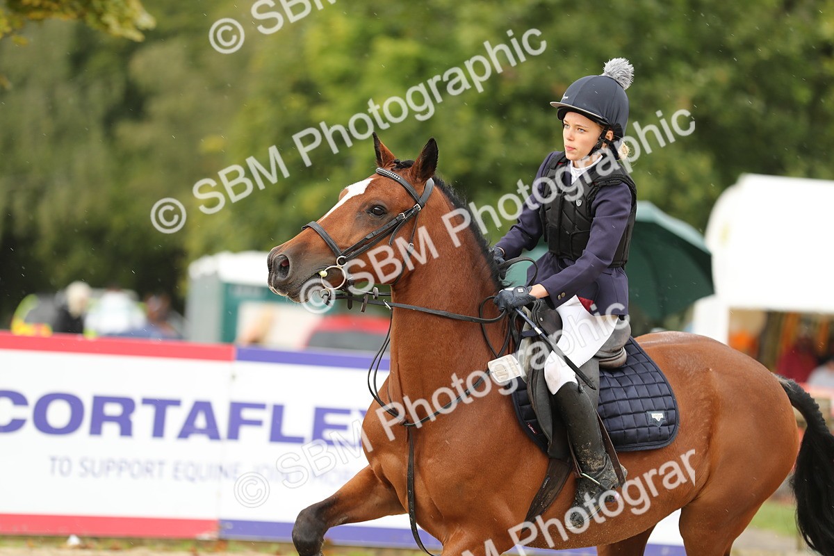 SBM_40378 - J21 - Junior Horse 60cm Championship
