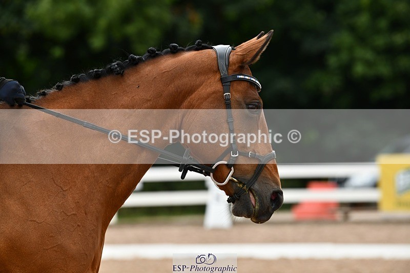 250705-161644-05467 - E1 Section BDE1 16.02 to  to 16.58