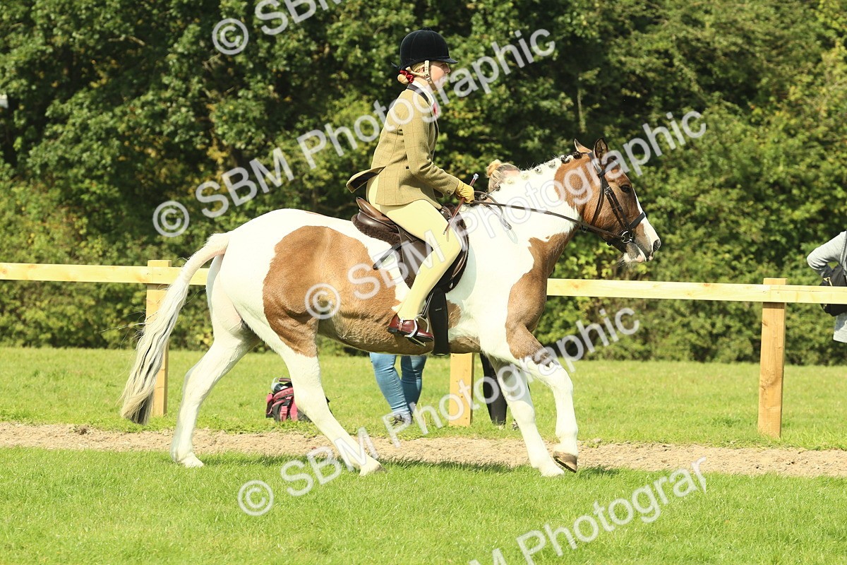 SBM_67466 - S56 - Coloured Pony Ridden